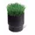 Rain Bird Sod Cup (8005 rotorokhoz)