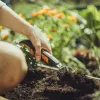 FISKARS Xact ültetőkanál