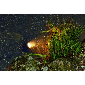 Pontec Pondostar Led Világítás, 1 Db-Os Készlet