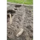 Ültető szett, fából, magasság:30cm átm.18mm-20m