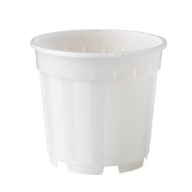 Növénytartály átlátszó átm. 13cm