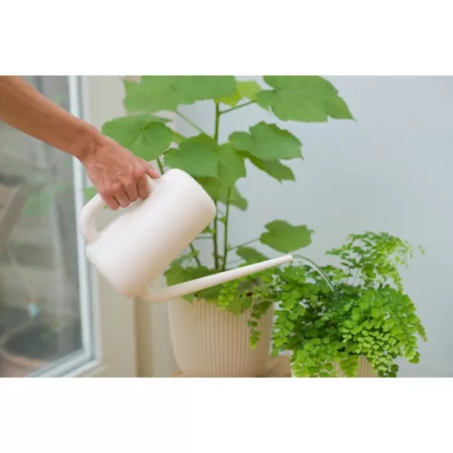Öntözőkanna modern, elefántcsontszínű, 1,8l, PE