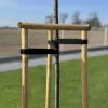 Kötöző zsinór fákhoz, Bradas 25mm/50m tek./fatörzsrögzítő heveder/spanifer