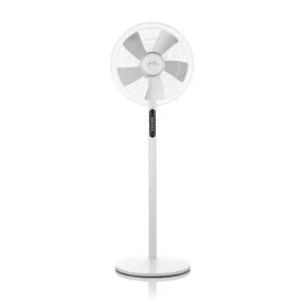 Eta Ventilátor Frio 160790000