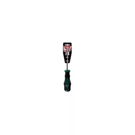 Extol Premium CSAVARHÚZÓ MARKOLAT, MÁGNESES CSAVARBEHAJTÓVAL, 1/4"×100MM 8819239
