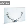 Family Decor LED-ES FALI KÉP RÉNSZARVAS, 40X30 58481A