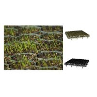 Gyep és ágyásszegély