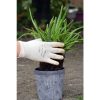 Rostaing Latex női kesztyű kerti munkához 8-as méret